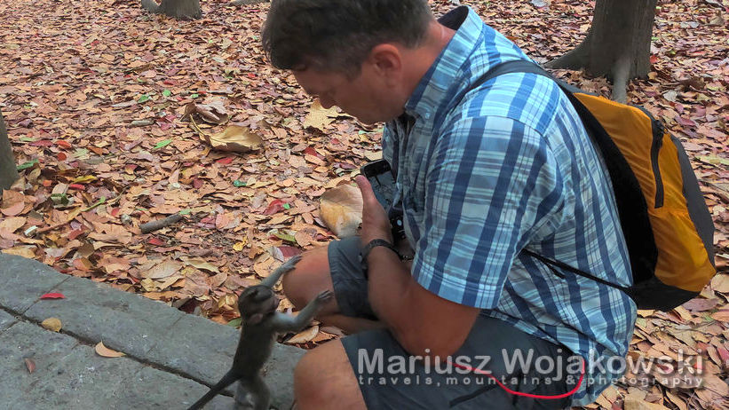 Małpi Park w Ubud