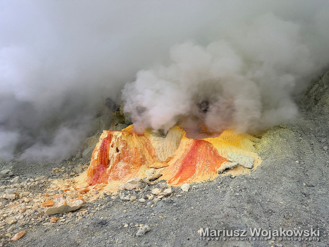 202311 ijen059